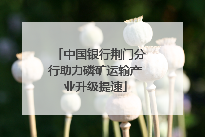 中国银行荆门分行助力磷矿运输产业升级提速